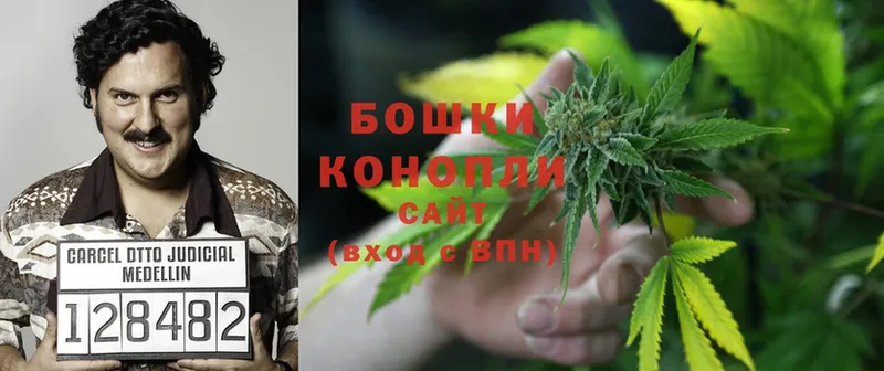 МАРИХУАНА OG Kush  Короча 